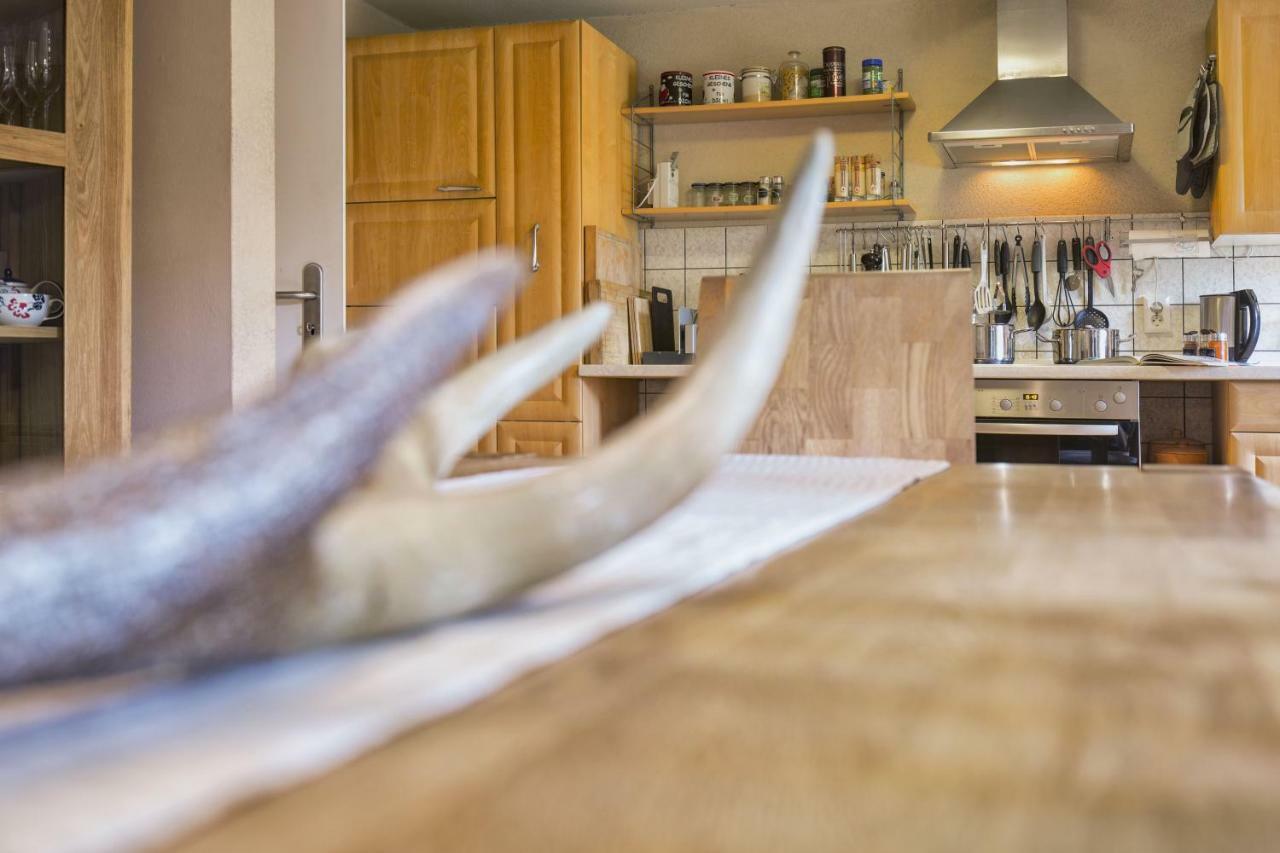 Zwei 4 Sterne Wohnungen Bei Limburg Mensfelden Exteriér fotografie